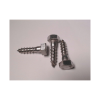 Din 571 Fransk Skrue A4 10x40                   3stk