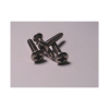 Din 7983 Pl.Skrue Lh Pzd A4 5,5x32            4stk