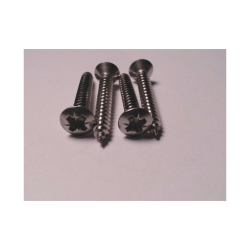 Selvskrende Skruer  5,5 Rustfri  Linsehovedet PZD - din 7983  A4