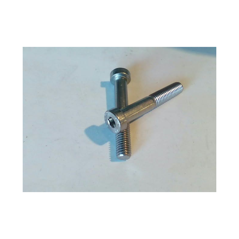 Din 7984 Bolt med lavt hoved  8x50mm  2stk