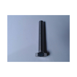 10 mm StlstBolt Din 933 A4