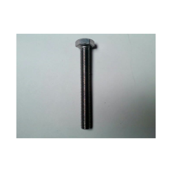 10 mm StlstBolt Din 933 A4
