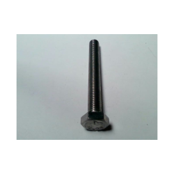 10 mm StlstBolt Din 933 A4