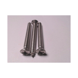 Selvskrende Skruer  5,5 Rustfri  Linsehovedet PZD - din 7983  A4